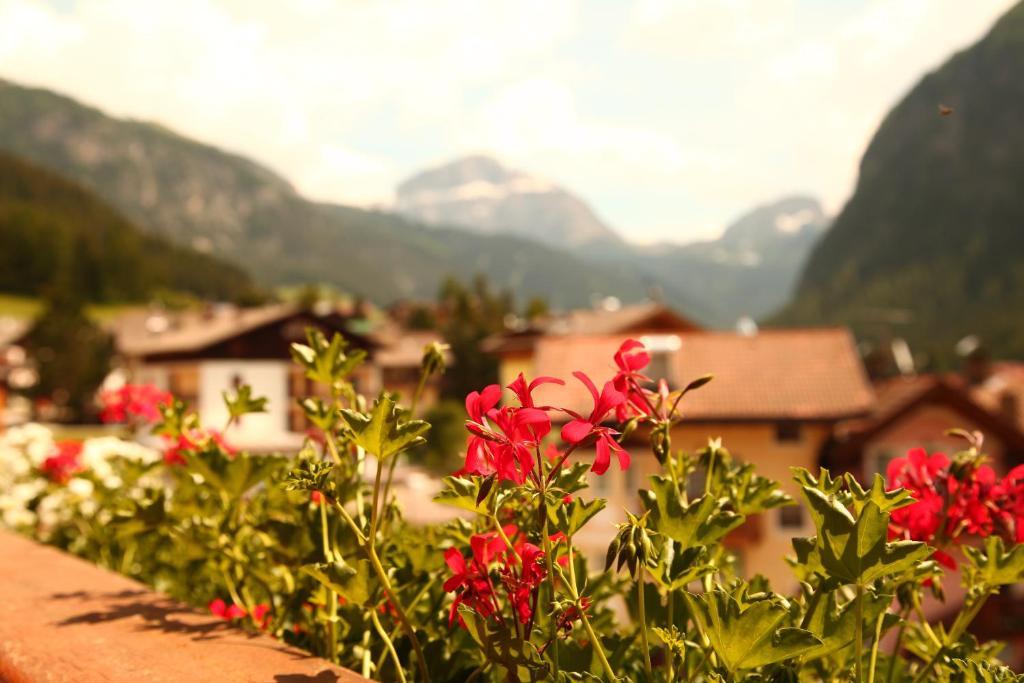 Hotel Garnì Prà Fiorì Campitello di Fassa Camera foto